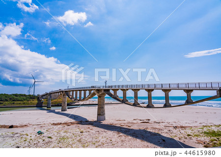 （静岡県）菊川河口の潮騒橋 44615980