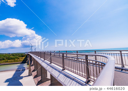 (静岡県)菊川河口の潮騒橋 (静岡県)菊川河口の潮騒橋 44616020