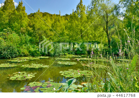 モネの庭マルモッタン モネの庭マルモッタン 44617768