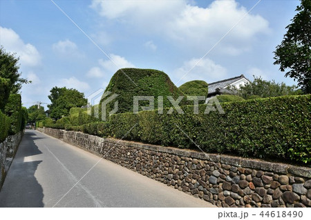 初夏の知覧武家屋敷 初夏の知覧武家屋敷 44618490