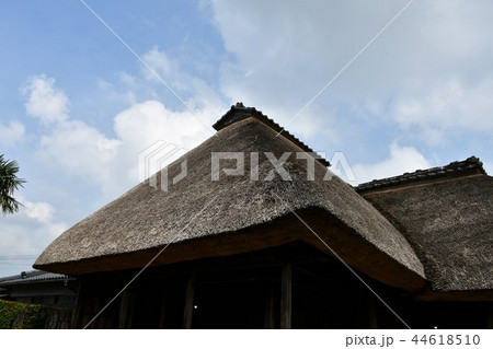 初夏の知覧武家屋敷 44618510