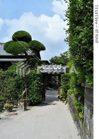 初夏の知覧武家屋敷 44618531