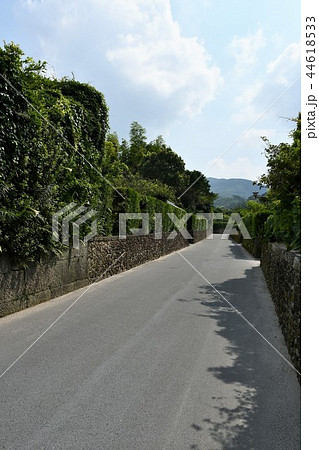 初夏の知覧武家屋敷 初夏の知覧武家屋敷 44618533