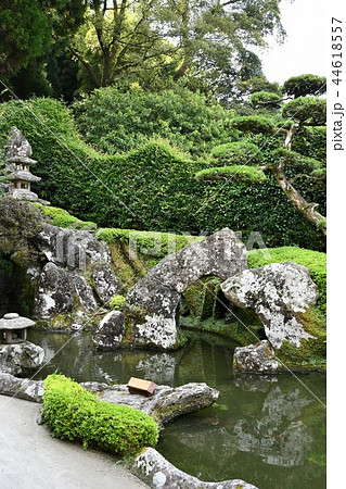 初夏の知覧武家屋敷 44618557