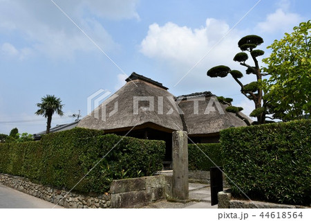 初夏の知覧武家屋敷 初夏の知覧武家屋敷 44618564