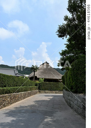 初夏の知覧武家屋敷 初夏の知覧武家屋敷 44618566
