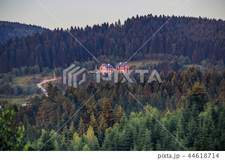 unfinished houses in the forest unfinished houses in the forest 44618714