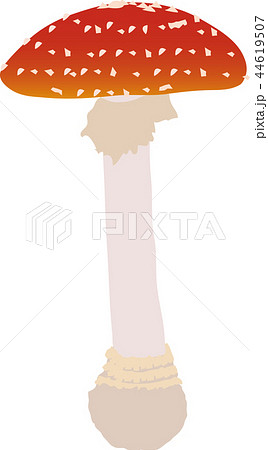 毒キノコ 44619507