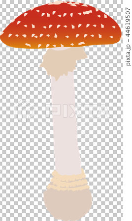 毒キノコ 44619507