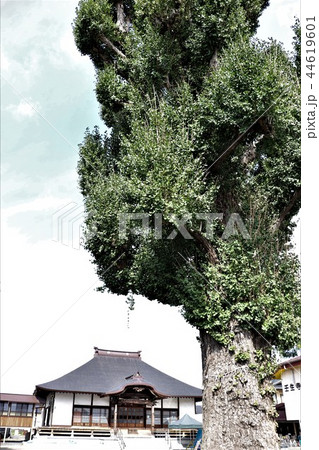 慈覚大師誕生地・壬生寺 44619601