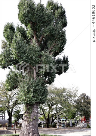慈覚大師誕生地・壬生寺 慈覚大師誕生地・壬生寺 44619602