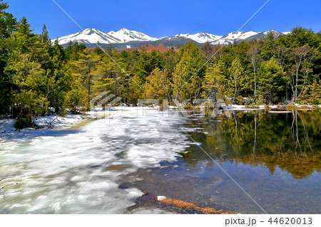 残雪の牛留池からの乗鞍岳 44620013