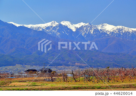長野県松川町からの残雪の中央アルプス 長野県松川町からの残雪の中央アルプス 44620014