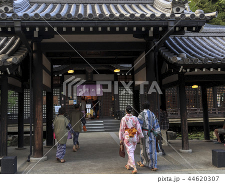 城崎温泉 44620307