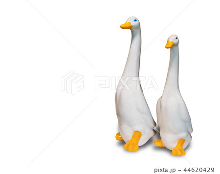 Swan doll made of ceramic for decorate. 44620429