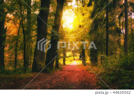 Vintage photo of beautiful early autumn european Vintage photo of beautiful early autumn european 44620502