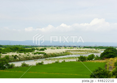 たんぼ 田んぼ 田圃 44622210