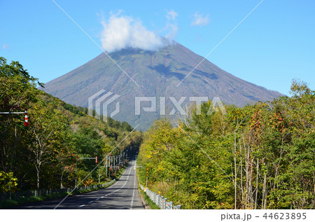 羊蹄山　ビューポイント　喜茂別町 44623895
