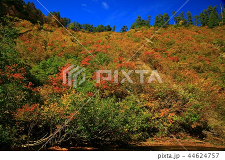 紅葉の桃洞渓谷 44624757