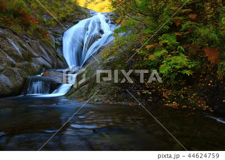 紅葉の桃洞渓谷 紅葉の桃洞渓谷 44624759