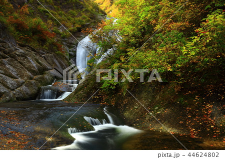 紅葉の桃洞渓谷 44624802