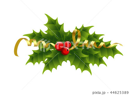 Christmas holly berries and tinsel 44625389