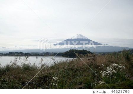河口湖と富士山 河口湖と富士山 44625796