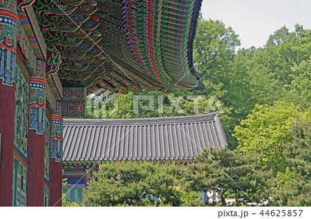 伝統 空 ボンウォンサ 44625857