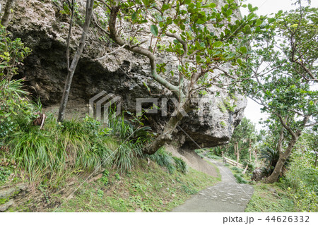 ティンダバナ 44626332