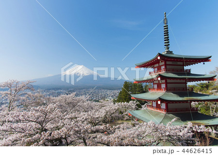 富士山と満開の桜 富士山と満開の桜 44626415