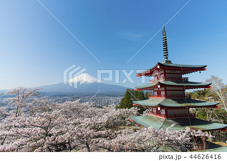 富士山と満開の桜 富士山と満開の桜 44626416