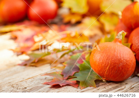 Thanksgiving border background. Autumn background Thanksgiving border background. Autumn background 44626716