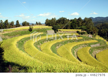 大阪唯一の村千早赤阪村 44627976