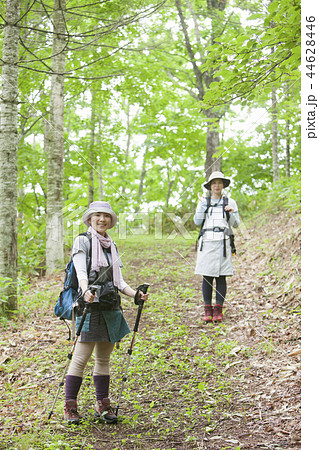 トレッキングする女性たち トレッキングする女性たち 44628446