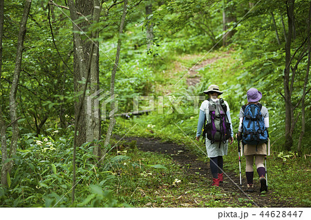 トレッキングする女性たち 44628447