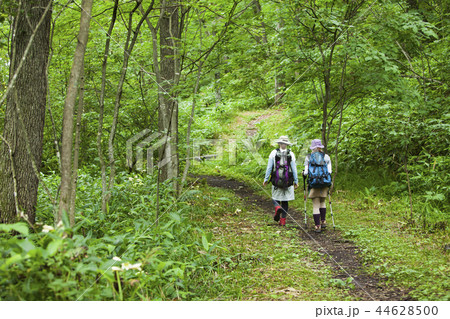 トレッキングする女性 44628500