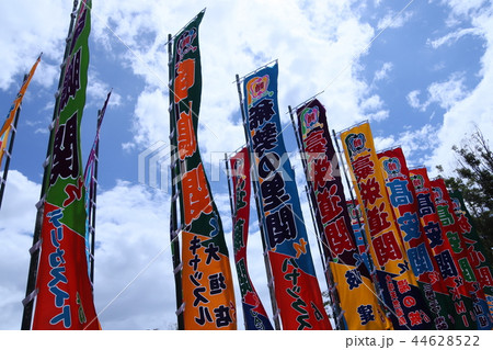 大相撲地方巡業ののぼり 大相撲地方巡業ののぼり 44628522