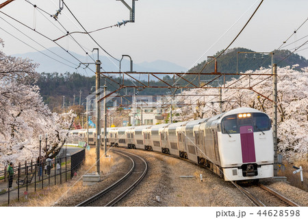 満開の桜の中を走るホリデー快速 44628598