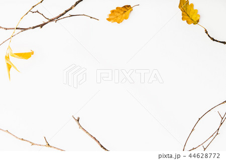Autumn flat lay background on white 44628772