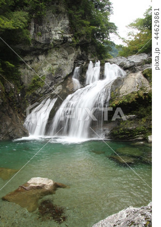 高知のアメガエリの滝 44629861