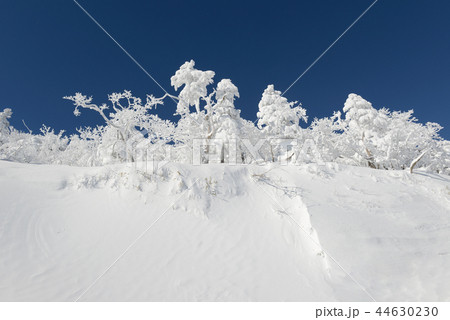 徳裕山 冬の山 冬 44630230