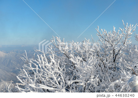 徳裕山 冬の山 冬 44630240
