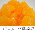 みかん 44631217