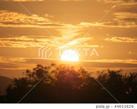 夕暮れ 夕暮れ 44631626