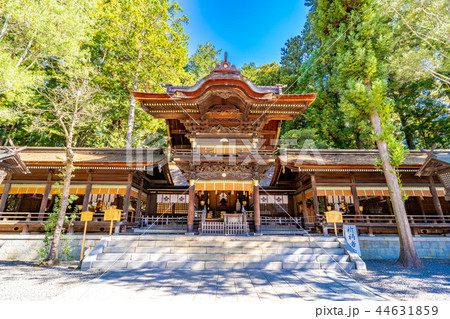 諏訪大社 幣拝殿 諏訪大社 幣拝殿 44631859