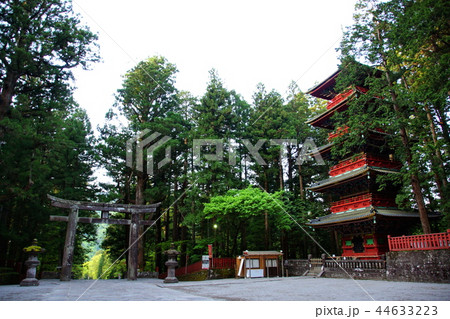 日光東照宮 五重塔 ( 栃木県 日光市 ) 日光東照宮 五重塔 ( 栃木県 日光市 ) 44633223