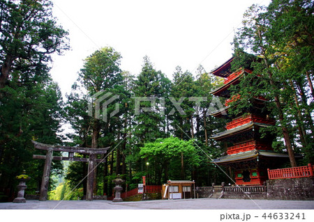 日光東照宮　五重塔 （ 栃木県 日光市 ） 44633241