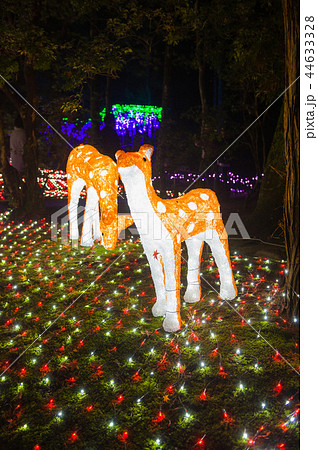 イルミ奈～ら、イルミネーション、奈良、日本 44633328
