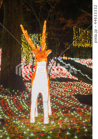 イルミ奈~ら、イルミネーション、奈良、日本 イルミ奈~ら、イルミネーション、奈良、日本 44633332