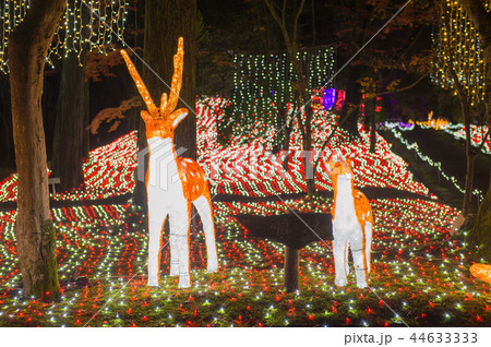 イルミ奈~ら、イルミネーション、奈良、日本 イルミ奈~ら、イルミネーション、奈良、日本 44633333